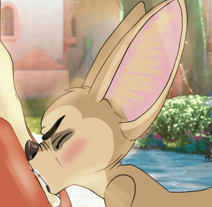 animated anthro canid canine disney duo fellatio fennec finnick fox furry-artist genitals hi_res male male/male mammal nick_wilde oral penile penis sex short_playtime zootopia