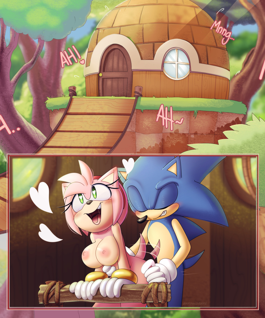 &lt;3 &lt;3_eyes absurd_res ambiguous_penetration amy_rose anthro apinkgrape areola big_breasts blue_body bracelet breasts bridge building clothing countershade_torso countershading door duo eulipotyphlan female forest from_behind_position gloves green_eyes handwear happy happy_sex hedgehog hi_res hip_grab house inside jewelry looking_pleasured male male/female mammal nipples open_mouth penetration pink_body plant red_hairband sega sex sky smile sonic_the_hedgehog sonic_the_hedgehog_(series) tail tongue tongue_out tree waist_grab window wood