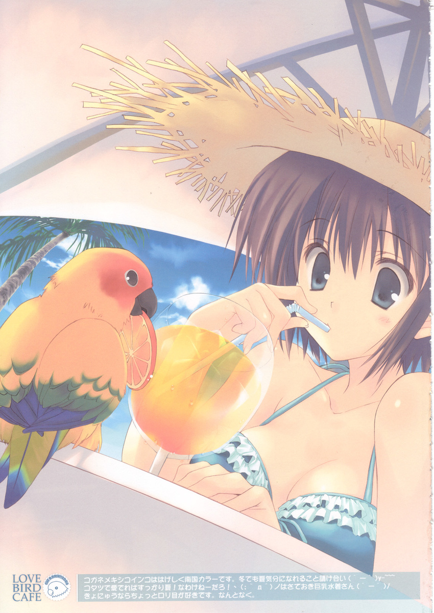 beach bird breasts cleavage copyright_request day drink hat highres medium_breasts mitsumi_misato parrot solo straw_hat sun_hat tropical_drink umbrella