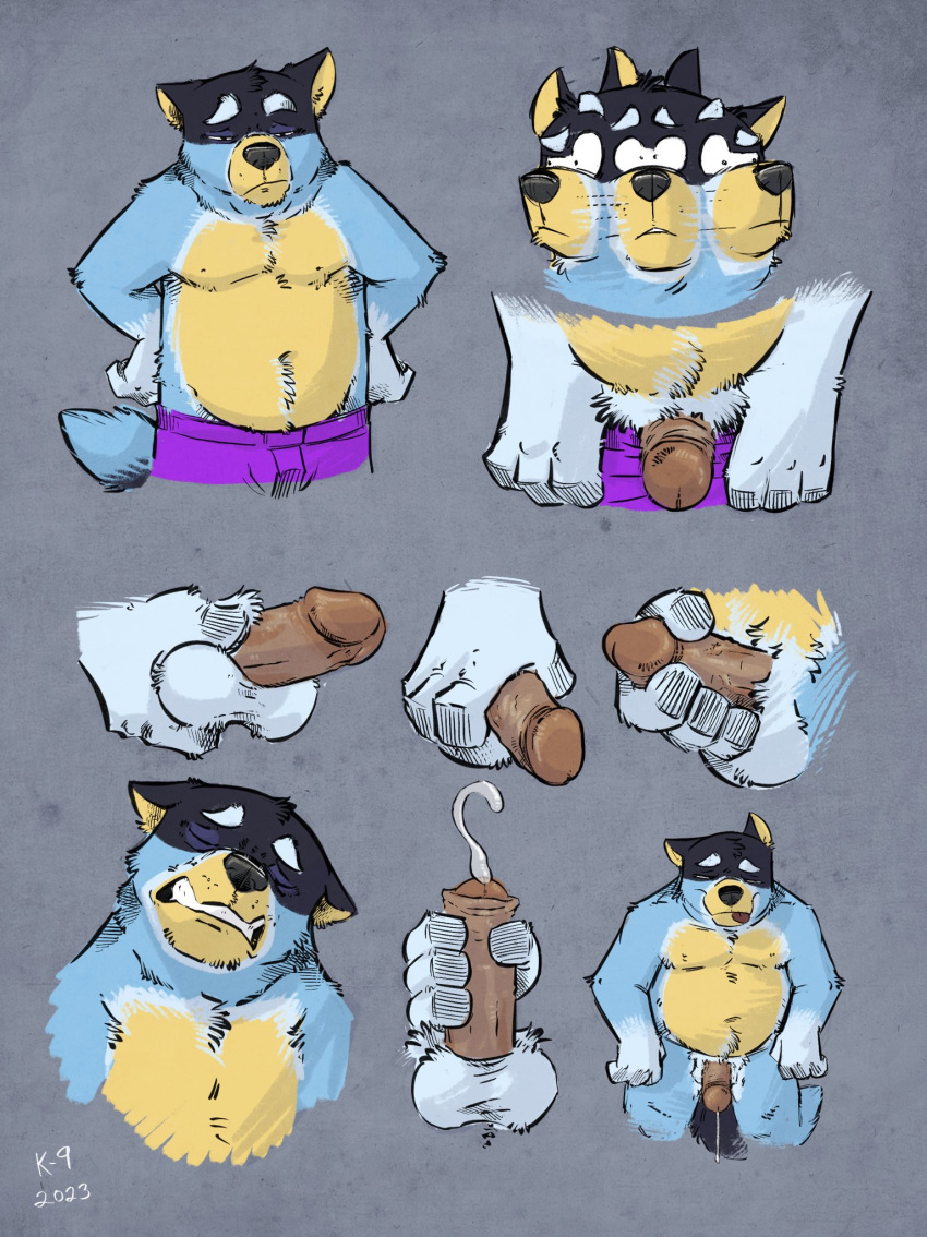 2023 anthro australian_cattle_dog balls bandit_heeler belly blep bluey_(series) bodily_fluids canid canine canis cattledog clenched_teeth clothed clothed/nude clothing cum cumshot domestic_dog ejaculation erection eyebrows eyes_closed fur genital_fluids genitals grey_background hands_on_hips herding_dog hi_res humanoid_genitalia humanoid_penis k-9 looking_pleasured male mammal masturbation motion_blur motion_lines narrowed_eyes nude orgasm partially_clothed pastoral_dog penile penile_masturbation penis signature simple_background slightly_chubby smile solo standing teeth tongue tongue_out topless topless_anthro topless_male tuft underwear underwear_down undressing