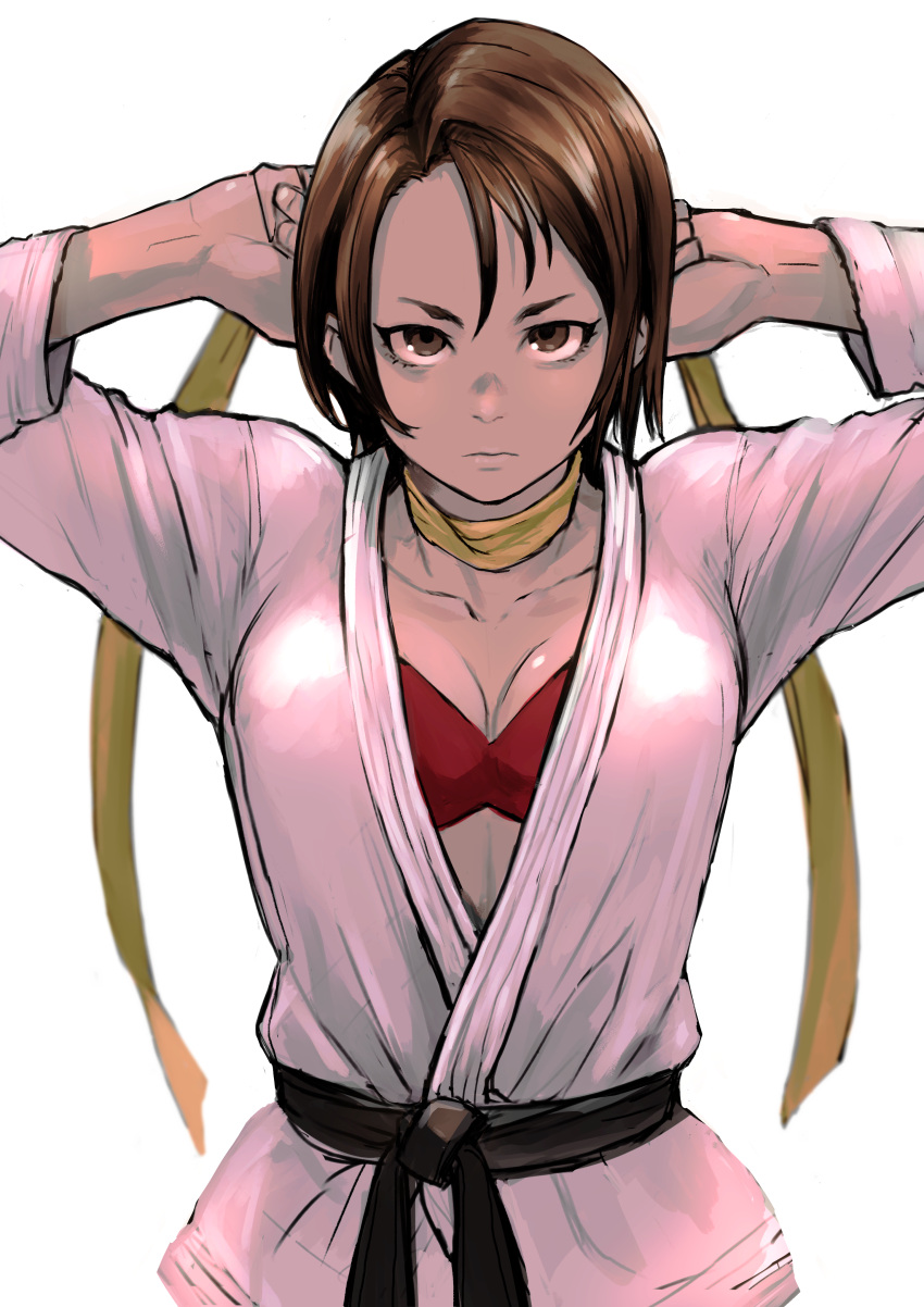 1girl 6maker absurdres bra breasts brown_eyes brown_hair cleavage cosplay dougi highres justice_gakuen karate_gi kazama_akira makoto_(street_fighter) makoto_(street_fighter)_(cosplay) medium_breasts red_bra serious solo street_fighter street_fighter_v underwear upper_body v-shaped_eyebrows