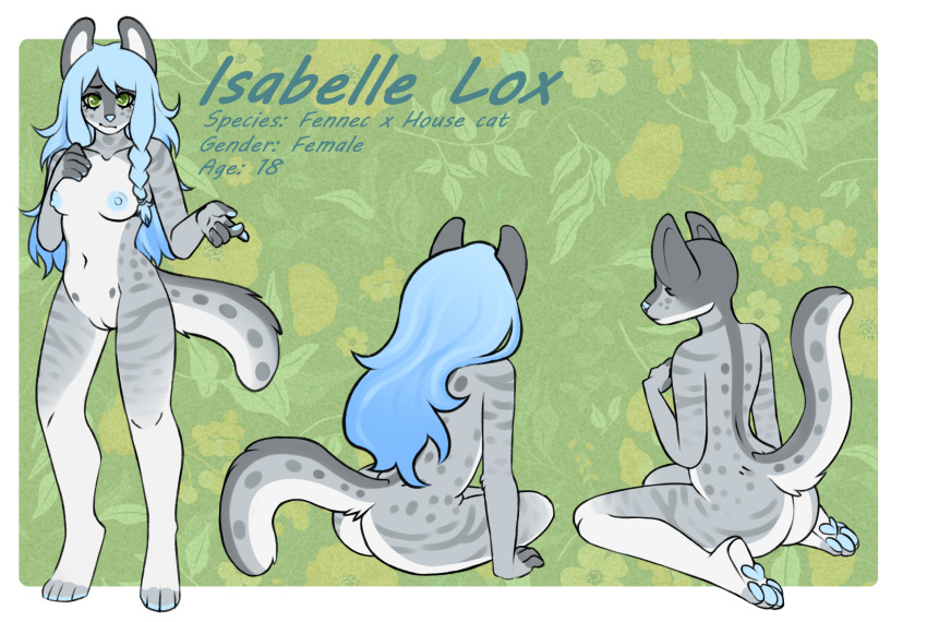 anthro blue_body blue_hair blue_skin canid canine eveleer felid feline female fennec fox fur grey_body grey_fur hair hi_res hybrid mammal model_sheet solo white_body white_fur