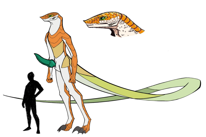 animal_humanoid anthro big_penis genitals green_penis hi_res humanoid knotted_cetacean_penis male novemberdraconis penis prehensile_tail reptile reptile_humanoid scalie scalie_humanoid size_difference snake_humanoid solo ymir_(novemberdraconis)