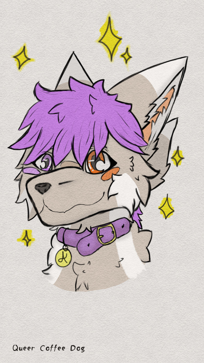 absurd_res anthro canid canine collar fur fur_markings headshot_portrait heterochromia hi_res inner_ear_fluff mammal markings portrait solo star tipped_ears tuft