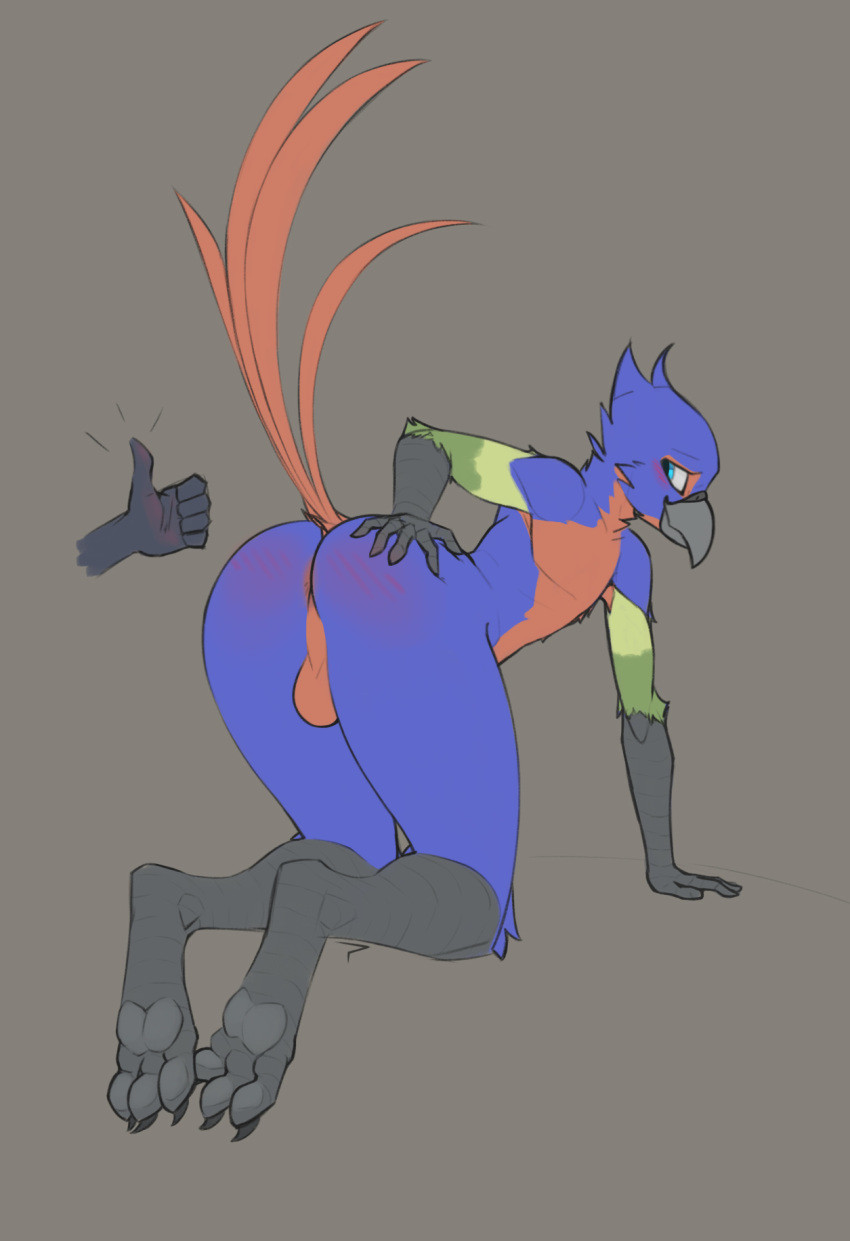 anthro anus avian balls beak bird blush butt feathers genitals gesture hi_res jay male male/male nude presenting presenting_hindquarters smile solo thumbs_up witseoc