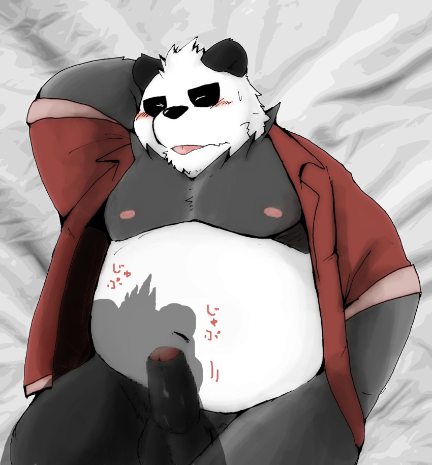 2023 anthro balls bear belly black_body black_nose blush clothed clothing erection eyes_closed genitals giant_panda hi_res kemono lying male mammal moobs navel nipples open_clothing open_shirt open_topwear overweight overweight_male penis shirt snow_utamaru solo_focus tongue tongue_out topwear white_body