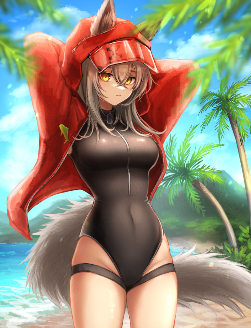 1girl 3_(sanyako1) animal_ears arknights arms_behind_head black_one-piece_swimsuit breasts brown_hair closed_mouth competition_swimsuit cowboy_shot day ears_through_headwear highres hood hood_up hooded_jacket jacket large_breasts long_hair long_sleeves looking_at_viewer one-piece_swimsuit open_clothes open_jacket outdoors palm_tree projekt_red_(arknights) projekt_red_(light_breeze)_(arknights) red_jacket solo swimsuit tail tree wolf_ears wolf_girl wolf_tail yellow_eyes