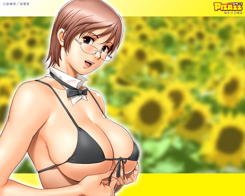 action_pizazz bikini_top bow bowtie breasts brown_hair flower front-tie_top glasses large_breasts saigadou short_hair solo sunflower undersized_clothes wallpaper