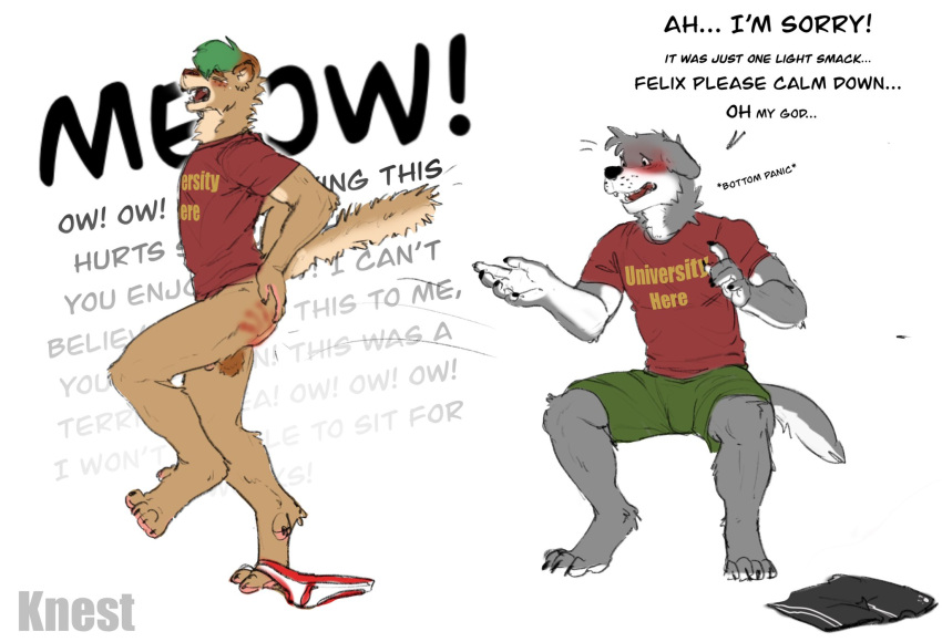 2023 after_spanking anthro apology balls blush bottomless bottomwear butt butt_slap canid canine clothed clothing clothing_around_one_leg complaining duo felid feline genitals green_hair hair hand_print hi_res humor knest male male/male mammal pain penis red_butt red_clothing red_shirt red_topwear role_reversal shirt shorts simple_background sitting slap spanking speech_bubble standing topwear underwear underwear_around_one_leg white_background