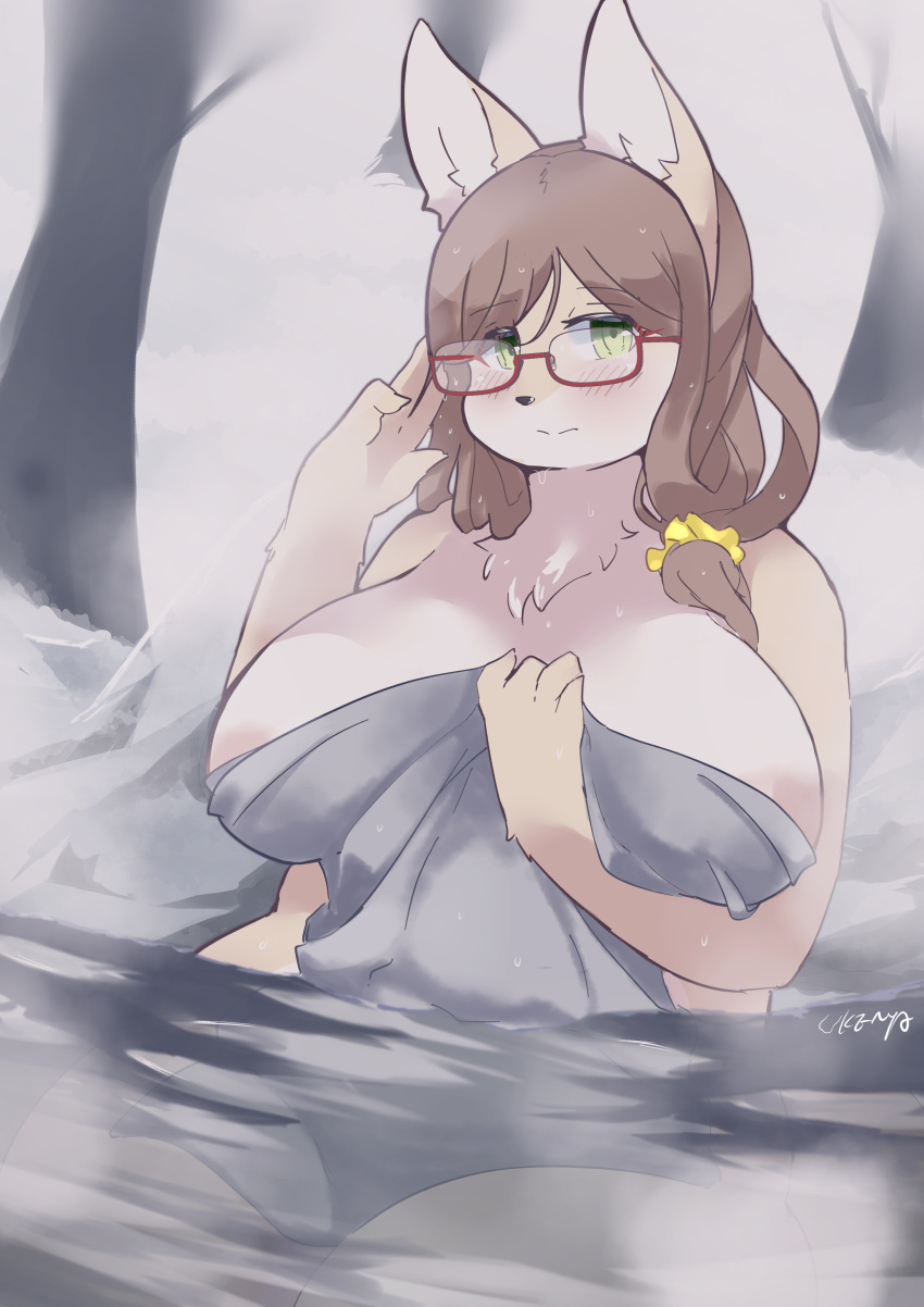 4_fingers absurd_res adjusting_glasses anthro areola areola_slip bathing big_breasts biped blush breasts brown_hair canid canine countershade_fur countershading covering covering_self eyewear female fingers fox fur glasses green_eyes hair hi_res hot_spring kemono long_hair looking_at_viewer mammal neck_tuft orange_body orange_fur outside partially_submerged scrunchie sitting solo steam tan_body tan_fur towel tuft ukenya water wet
