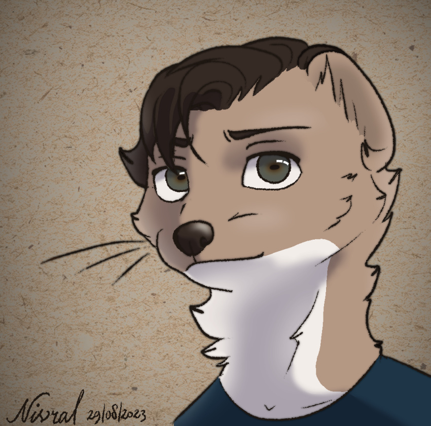 anthro brown_hair brown_nose clothing hair headshot_portrait least_weasel looking_at_viewer male mammal mustelid musteline nivral nivral_(character) portrait shirt simple_background solo t-shirt topwear true_musteline weasel