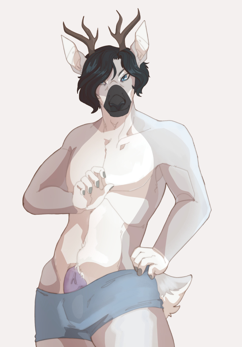 absurd_res anthro antlers athletic athletic_anthro black_hair black_muzzle blue_clothing blue_eyes blue_underwear bulge capreoline clothed clothing deer fur genital_outline genitals grey_body grey_fur hair hair_over_eye hi_res horn looking_at_viewer male mammal nopaphos one_eye_obstructed partially_clothed penis penis_base roe_deer sascha_grunewald simple_background smile solo underwear white_body white_fur