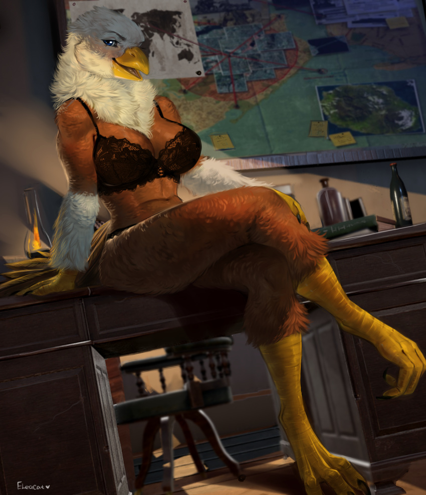 accipitrid accipitriform anthro avian avian_feet bald_eagle beak bird blue_eyes bra breasts brown_body brown_feathers candle clothing detailed_background eagle eleacat feathers female hi_res inside lingerie map non-mammal_breasts office open_beak open_mouth scuted_legs scutes sea_eagle sitting_on_desk solo underwear white_body white_feathers