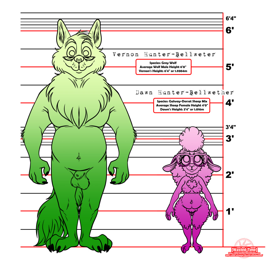 absurd_res anatomically_correct animal_genitalia bellhunterverse bovid breasts canid canine canis caprine dawn_bellwether disney english_text fan_character genitals hi_res mammal model_sheet penis pussy sheath sheep text url wastedtimeee wolf zootopia