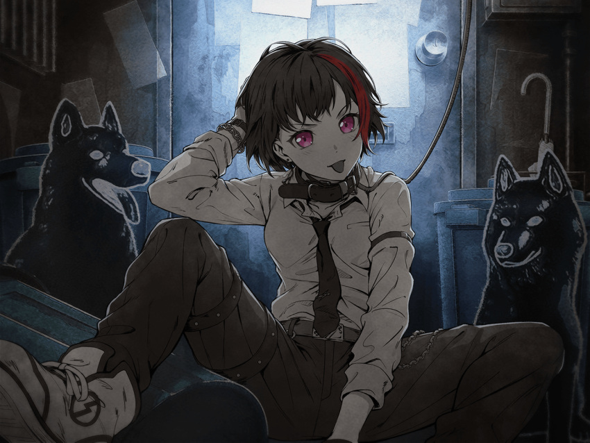 1girl :p alley animal_collar arm_strap bang_dream! belt belt_chain between_legs black_hair bracelet collar collared_shirt dog door dress_shirt earrings hand_between_legs hand_in_own_hair jewelry messy_hair mitake_ran multicolored_hair necktie official_art pants partially_colored pink_eyes shirt shoes short_hair sitting sneakers spread_legs streaked_hair thigh_strap third-party_source tongue tongue_out trash_can umbrella