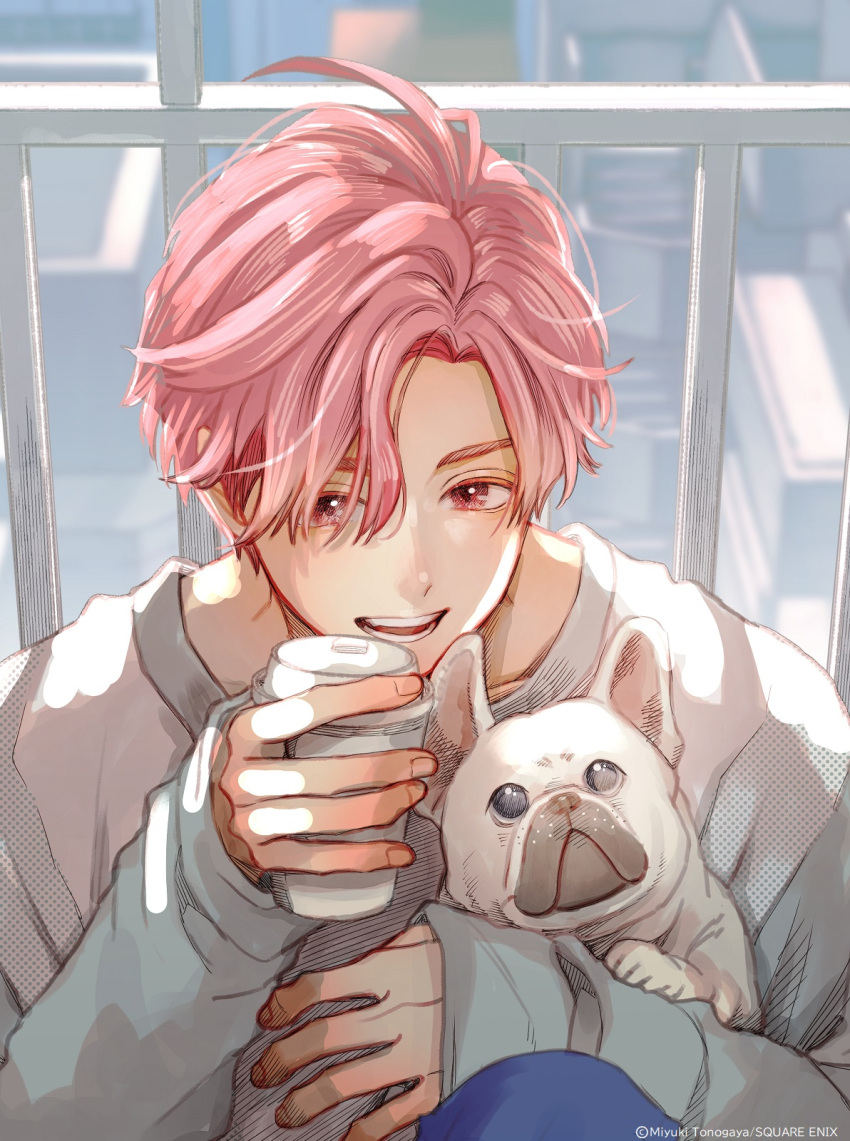 1boy coffee_cup commentary_request cup disposable_cup fingernails highres katori_(koori_zokusei_danshi) koori_zokusei_danshi_to_cool_na_douryou_joshi long_sleeves looking_at_viewer male_focus official_art open_mouth pink_eyes pink_hair pug short_hair solo sweater teeth tonogaya