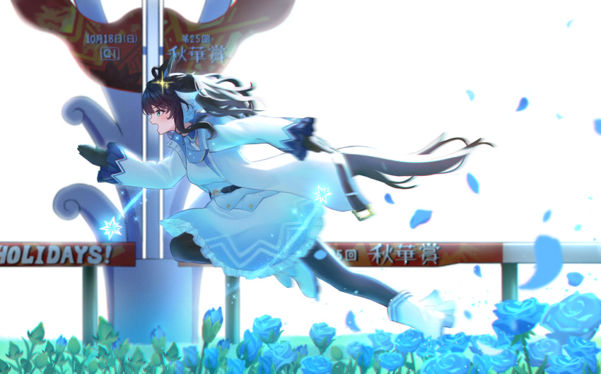 1girl animal_ears black_hair blue_eyes blush breasts commentary_request daring_tact_(umamusume) finish_line flower full_body gloves hair_ornament highres horse_ears horse_girl horse_tail jacket kashmir_0808 medium_breasts pantyhose petals running solo star_(symbol) star_hair_ornament tail translation_request umamusume white_background