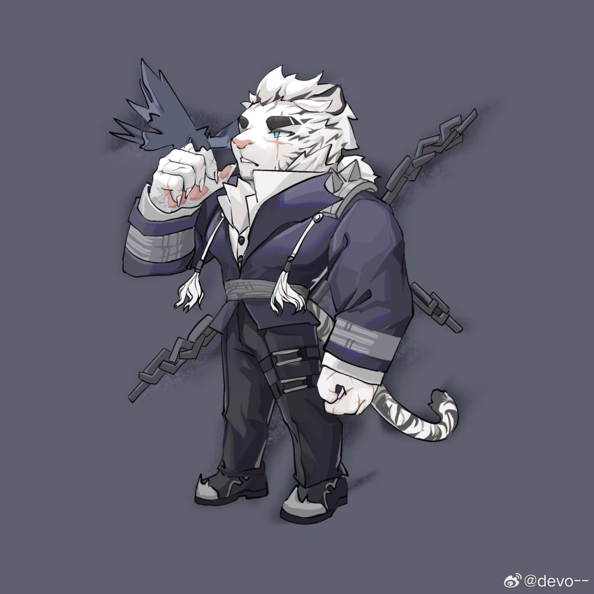 1boy arknights bara bird chain chibi chinese_commentary devotion116 grey_background highres looking_at_another mountain_(arknights) mountain_(dark_cloud)_(arknights) multiple_scars scar scar_across_eye tail tiger_boy tiger_stripes tiger_tail weibo_logo weibo_username white_fur