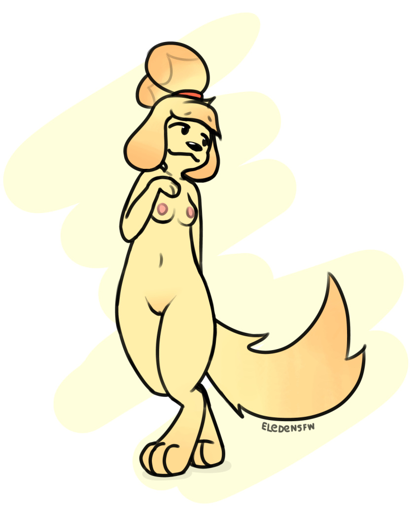 animal_crossing anthro big_tail canid canine canis digital_media_(artwork) domestic_dog eledensfw female flat_colors front_pussy fur genitals hand_on_chest hi_res isabelle_(animal_crossing) mammal minimalist nintendo nipples nude pussy shih_tzu simple_background smile solo standing tail toy_dog yellow_body yellow_fur