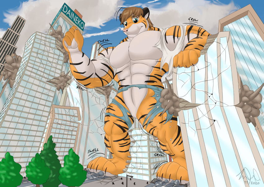anthro bennie city city_destruction felid growth hi_res iliakitsune macro male mammal muscular pantherine size size_growth tiger