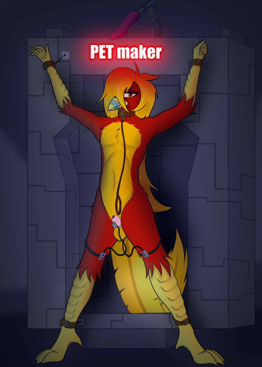 anthro avian bdsm beak bird bondage bound brony_kogot chastity_cage chastity_device chrysolophus collar exhibitionism feathers galliform glori_gamebird golden_pheasant hair hi_res leash long_hair long_tail muzzle_(object) muzzled phasianid red_body red_feathers sex_toy spread_eagle tail vibrator yellow_beak yellow_body yellow_feathers