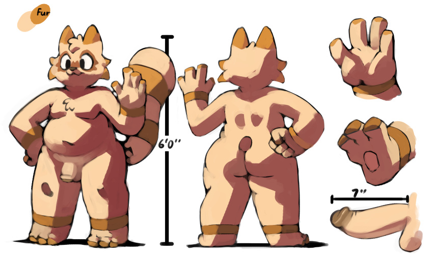 3_toes 4_fingers anthro big_butt big_tail bittenhard butt chest_tuft chubby_male dg_(pongodecky) erection feet fingers head_tuft hi_res male mammal moobs procyonid raccoon reference_image slightly_chubby solo tail toes tuft