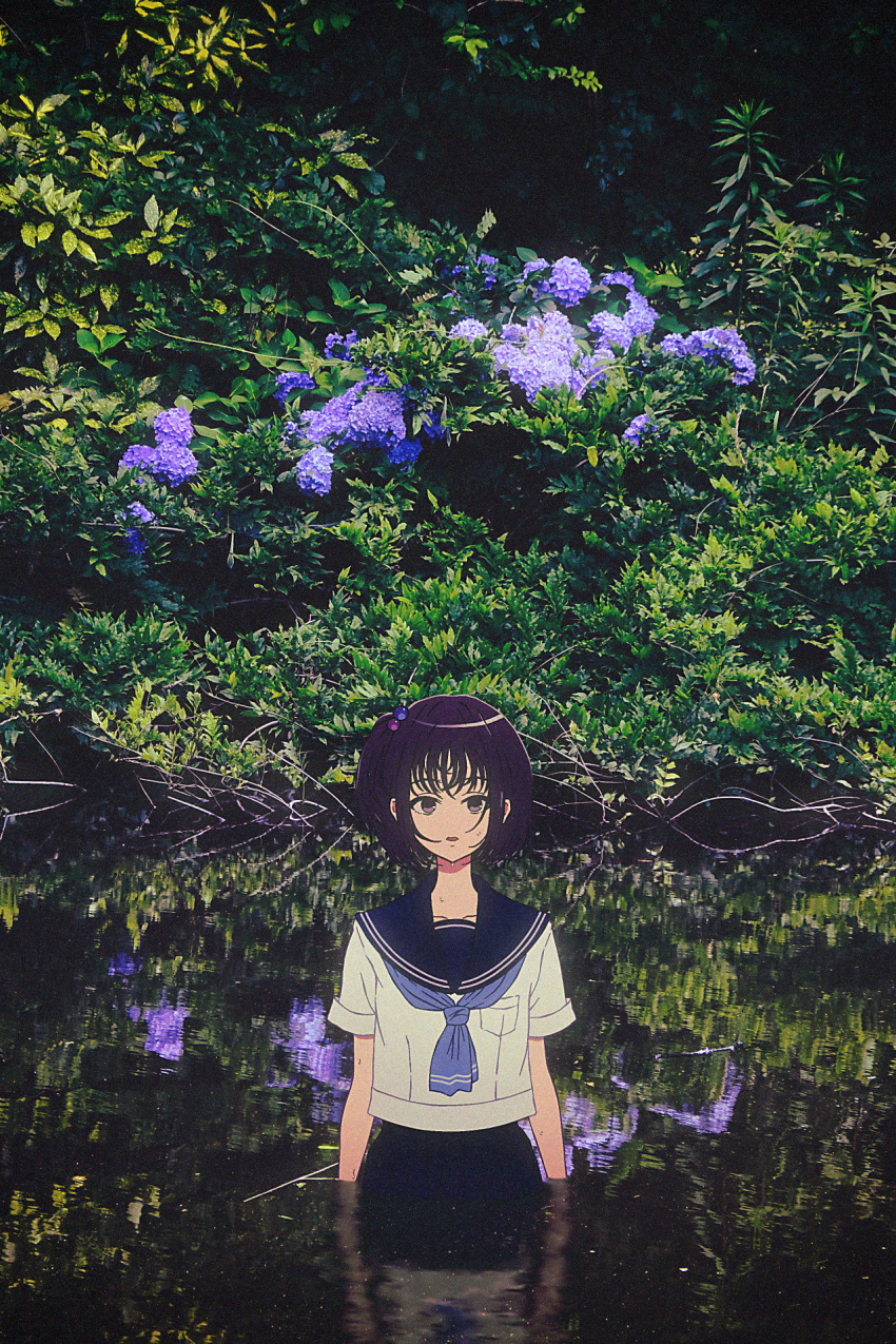 1girl amemori_sayo black_eyes black_hair black_sailor_collar black_skirt blue_neckerchief collarbone commentary day flower foliage hair_bobbles hair_ornament highres hydrangea looking_at_viewer neckerchief nijisanji nkymyura official_alternate_costume one_side_up outdoors photo_background purple_flower reflection reflective_water sailor_collar school_uniform serafuku shirt short_hair short_sleeves skirt solo standing straight-on virtual_youtuber wading water wet wet_hair white_shirt wide_shot