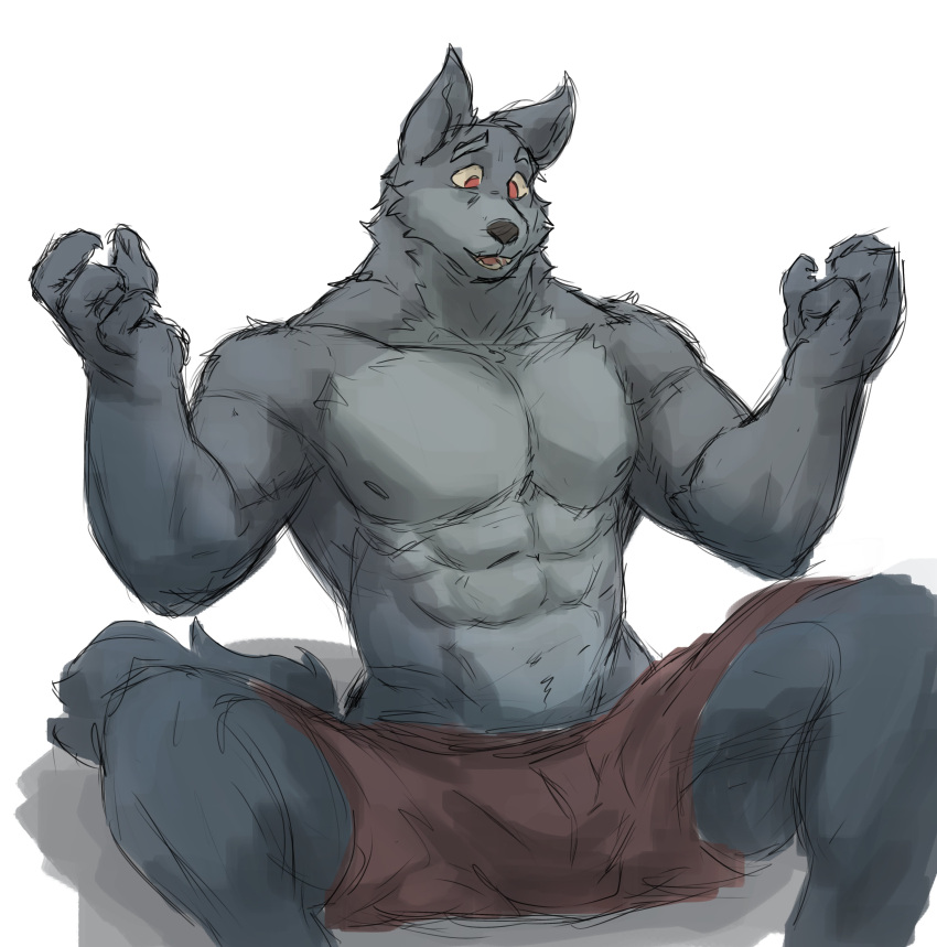 2022 abs absurd_res anthro black_nose bottomwear bulge canid canine canis clothed clothing countershade_fur countershade_torso countershading eyebrows fur grey_body grey_countershading grey_fur hi_res jephhhad male mammal muscular muscular_anthro muscular_male nipples open_mouth pecs red_bottomwear red_clothing red_eyes red_shorts shorts shorts_only simple_background sitting snout solo tail teeth_showing white_background wolf