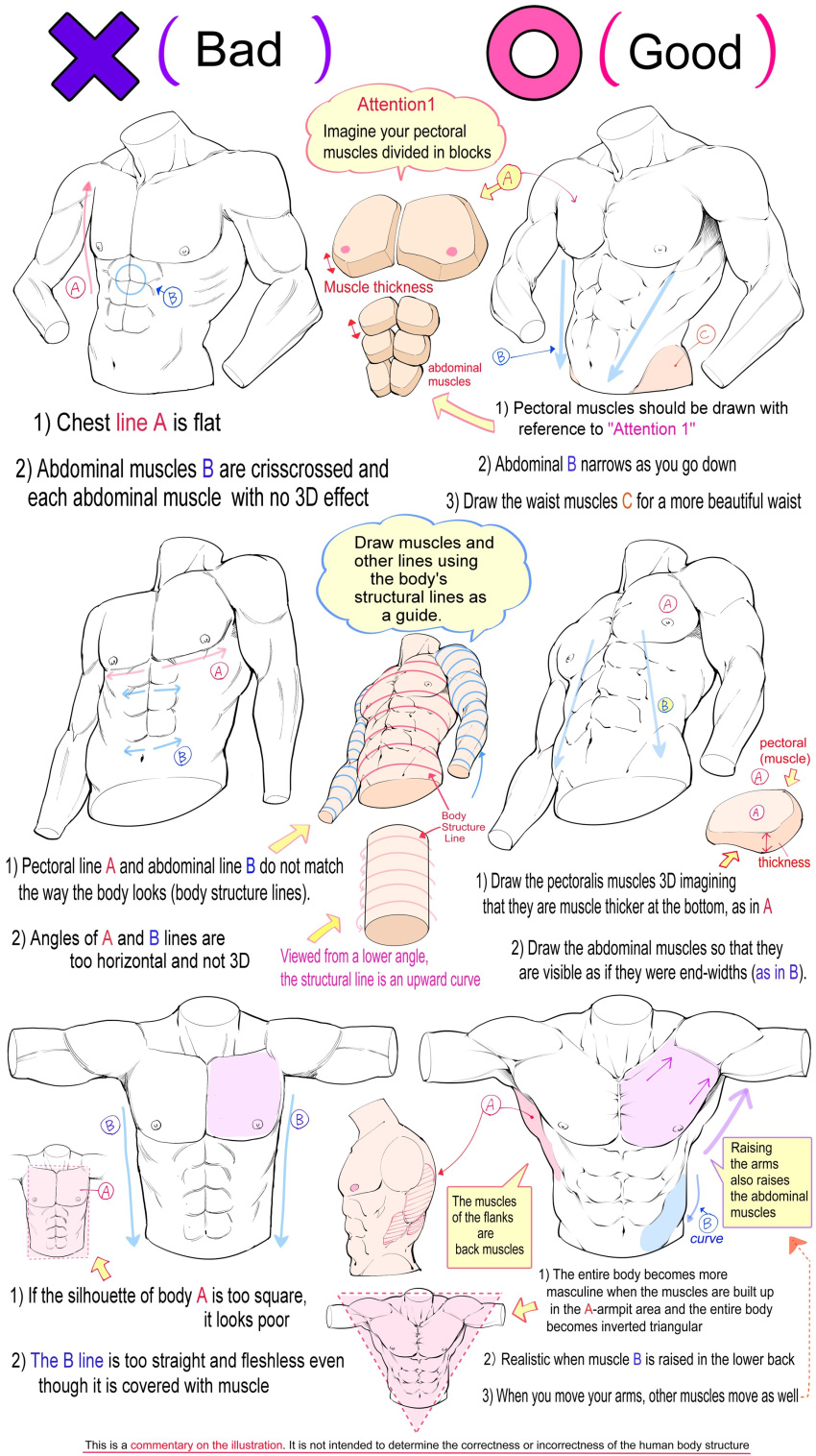 1boy abs absurdres anatomy arms_at_sides arrow_(symbol) cropped_torso english_text error from_below guide headless highres how_to male_focus multiple_views muscular muscular_male nipples original outstretched_arms pectorals perspective spread_arms yoshimura_takuya