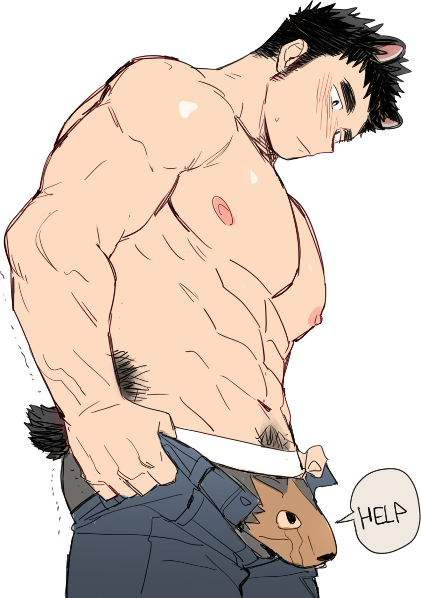 1boy abs absurdres animal_ears ass bara bear_boy bear_ears bear_tail black_male_underwear blush bulge bulge_lift denim dressing edging_underwear english_text feet_out_of_frame from_side gondom help highres i've_never_seen_a_guy_recreate_this_successfully_tbh_(meme) jeans large_pectorals long_sideburns male_focus male_underwear meme muscular muscular_male nipples open_pants original pants pants_lift pectorals print_male_underwear short_hair short_tail shy sideburns sketch solo stomach sweatdrop tail topless_male trembling undersized_clothes underwear wolf_print