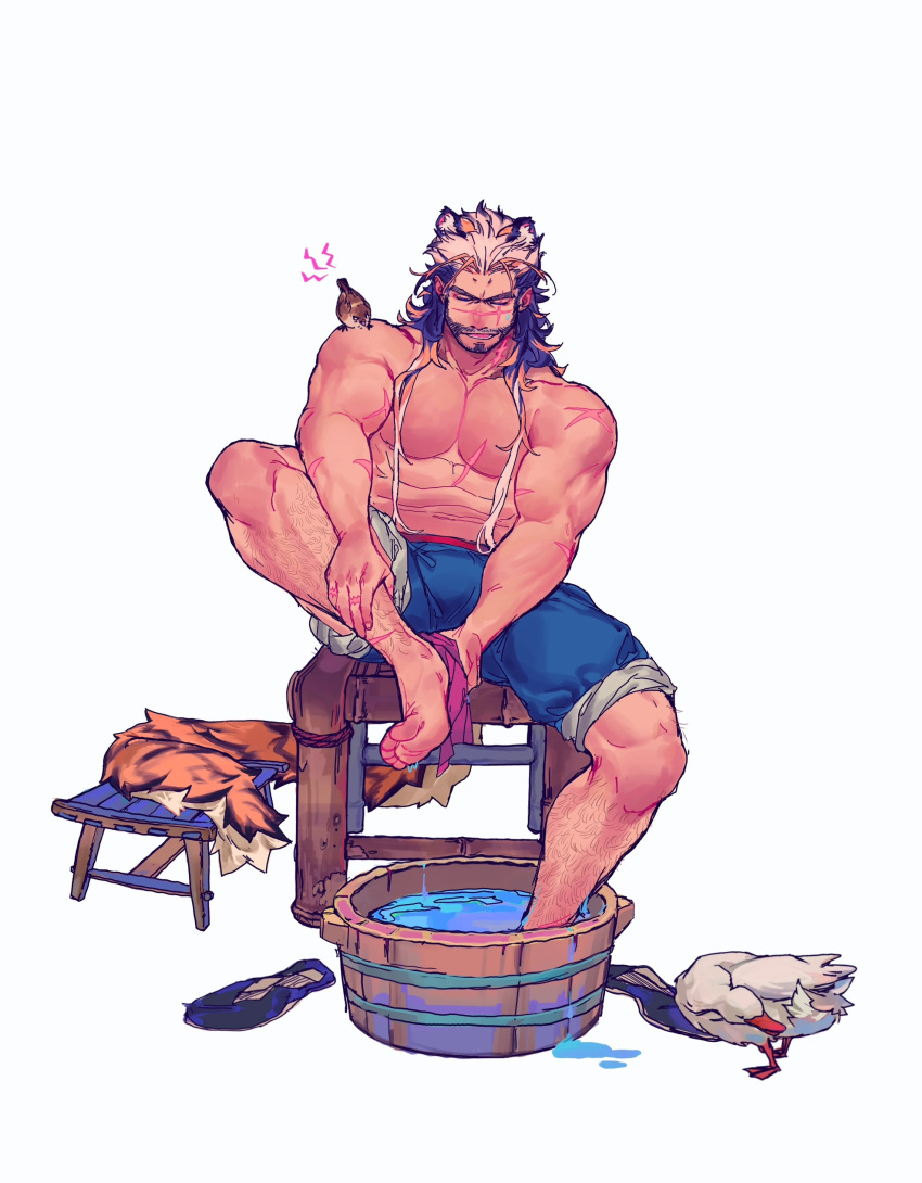 1boy abs absurdres animal_ears animal_on_shoulder bara beard beard_stubble bird bird_on_shoulder bucket closed_eyes drunk_tiger_(kuro) duck facial_hair full_body hair_slicked_back highres kuroshima_kurishiro_(muyi24108414) large_pectorals leg_hair male_focus mature_male multicolored_hair muscular muscular_male mustache_stubble original pants pants_rolled_up pectorals scar scar_on_chest scar_on_face scar_on_nose short_hair smirk solo stomach tail tiger_boy tiger_ears tiger_tail two-tone_hair washing washing_feet white_hair