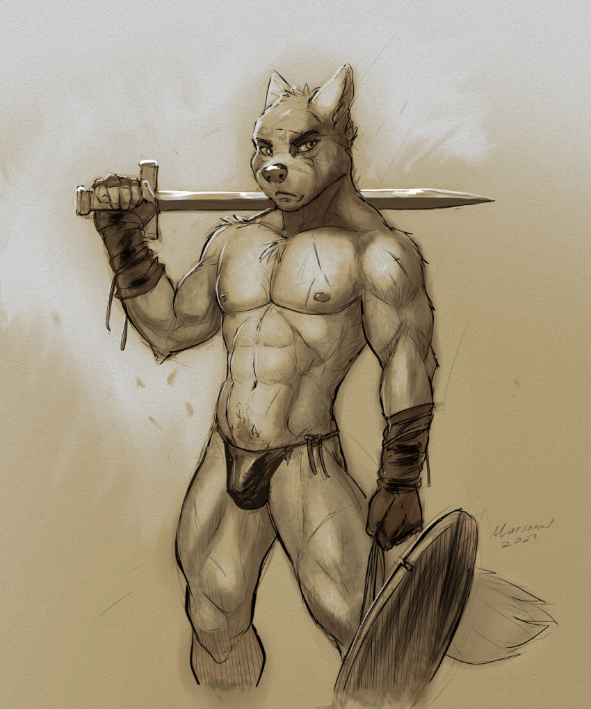 abs anthro armor athletic athletic_anthro biceps bottomwear bulge canid canine canis clothed clothing dirty gauntlets gladiator gloves handwear hi_res leather loincloth looking_at_viewer male male/male mammal marsonaut mature_male melee_weapon muscular muscular_male muscular_thighs nipples pecs scar shield skimpy solo straps sword thong underwear warrior weapon wolf