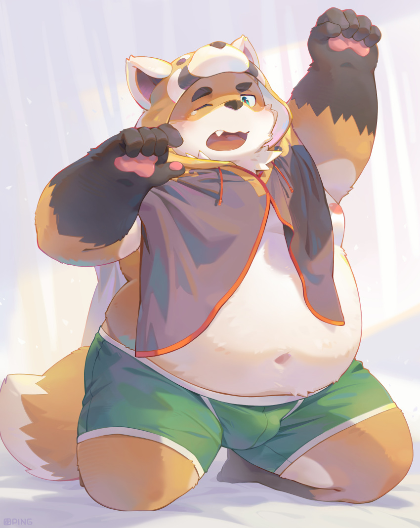 2023 absurd_res anthro belly big_belly bulge canid canine clothing fox hi_res hoodie humanoid_hands iyo_(tamacolle) kemono male mammal navel one_eye_closed overweight overweight_male seamonsterping solo tamacolle topwear underwear