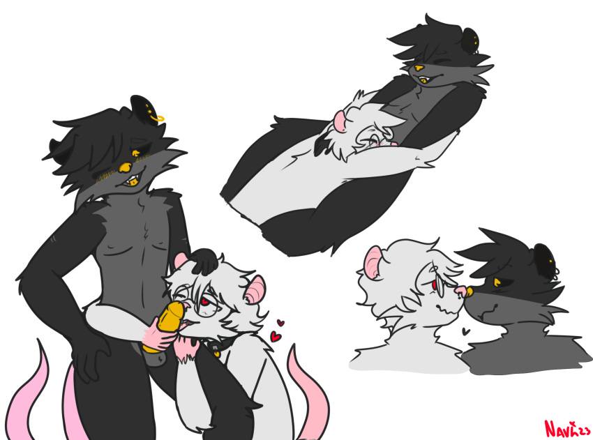 &lt;3 ace_of_spades american_opossum anthro blush boop duo ear_piercing embrace eyewear faces_touching facial_piercing fellatio genitals glasses gold_penis handjob hi_res hug male male/male mammal marsupial murid murine navisludge nero_(navisludge) nose_piercing one_eye_closed oral penile penis piercing possum rat rodent romantic septum_piercing sex the_only_card_you_need the_only_god_you_need wink
