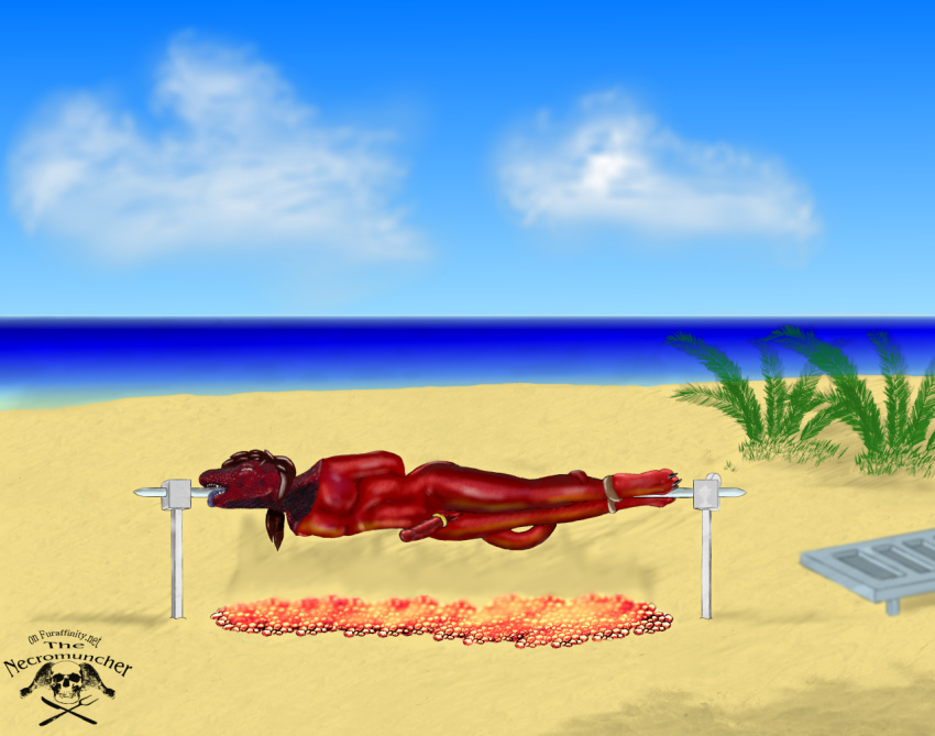 2011 anthro artist_logo beach black_claws bound claws death detailed_background digital_drawing_(artwork) digital_media_(artwork) erection furx_(artist) furx_(character) genitals legs_tied lizard logo male necromuncher nude outside penis plant purple_tongue red_body red_penis red_skin reptile scalie sea seaside snuff solo spitroast_(object) tongue tongue_out water