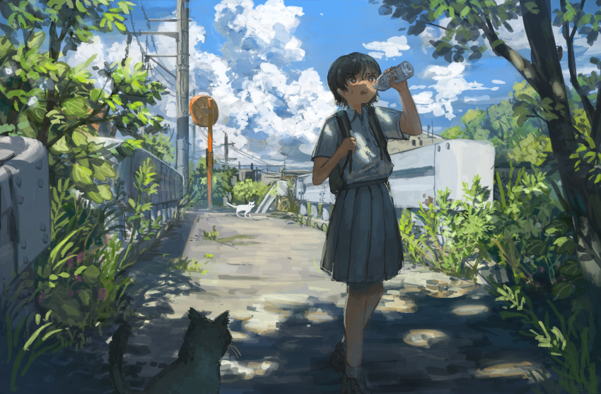 1girl absurdres anko1127 backpack bag black_hair blue_sky bottle bridge bright_pupils brown_eyes cat cloud cloudy_sky commentary_request cumulonimbus_cloud dappled_sunlight day dress_shirt empty_bottle foliage grey_skirt guard_rail highres holding holding_bottle holding_strap open_mouth original outdoors path pleated_skirt ribbed_socks scenery school_uniform shade shirt shirt_tucked_in shoes short_hair short_sleeves skirt sky solo summer sunlight sweatdrop tree utility_pole walking white_pupils white_shirt wide_shot