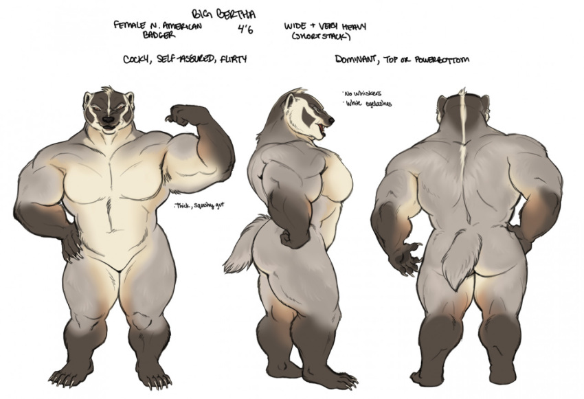 american_badger anthro badger big_butt butt english_text female flexing_bicep glitterawrxd mammal model_sheet muscular muscular_female mustelid musteline reference_image solo text thick_thighs