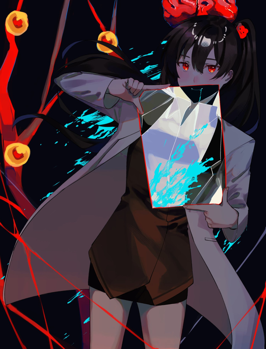 1girl aqua_blood bear_hair_ornament black_skirt brain brown_hair carmen_(project_moon) closed_mouth coat collarbone finger_frame glowing glowing_eyes hair_ornament hands_up high_ponytail highres lab_coat lobotomy_corporation long_hair looking_at_viewer msx_(mis4xi) negative project_moon red_eyes skirt smile solo the_burrowing_heaven very_long_hair white_coat