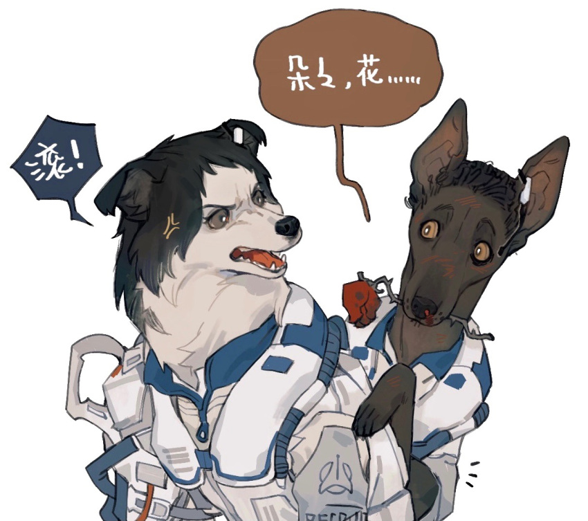 canid canine canis chinese_text clothed clothed_feral clothing domestic_dog duo eyebrows female feral flower flower_in_mouth juanmao1997 male male/female mammal open_mouth paws plant rose_(flower) rose_in_mouth simple_background text translation_request white_background