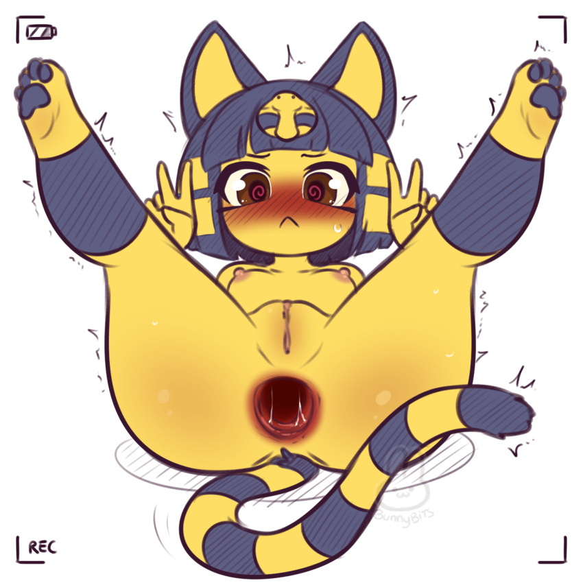 1:1 2023 4_toes 5_fingers animal_crossing ankha_(animal_crossing) anthro anus areola artist_name blue_body blue_ears blue_fur blue_pawpads blush blush_lines bodily_fluids breasts brown_eyes bunnybits butt digital_media_(artwork) domestic_cat double_v_sign embarrassed erect_nipples eyebrows eyelashes feet felid feline felis female fingers fur gaping gaping_anus genitals gesture headdress headdress_only headgear headgear_only hi_res legs_up looking_at_viewer lying mammal markings multicolored_body multicolored_fur nintendo nipples nude on_back pawpads pink_areola pink_nipples pink_pussy presenting presenting_anus presenting_hindquarters presenting_pussy pussy recording shaking signature simple_background small_breasts solo spiral_eyes spread_legs spreading striped_body striped_fur striped_markings striped_tail stripes sweat tail tail_markings toes tremble_spikes trembling uraeus v_sign white_background yellow_body yellow_fur yellow_inner_ear