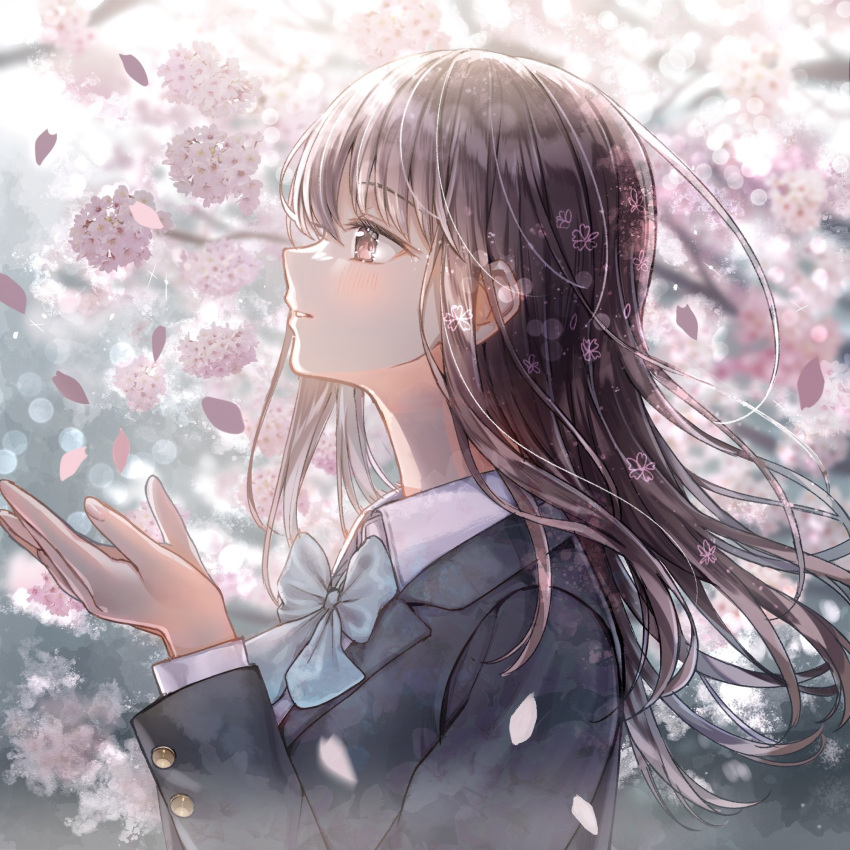 1girl backlighting black_jacket blazer blue_bow blue_bowtie blurry bokeh bow bowtie brown_eyes brown_hair cherry_blossoms collared_shirt depth_of_field dress_shirt falling_petals flower hands_up highres jacket long_hair original parted_lips petals pink_flower sakura_(39ra) shirt solo upper_body white_shirt