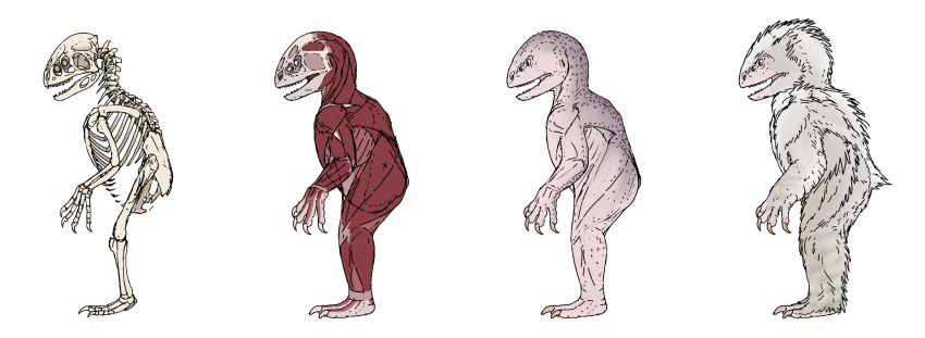 4_eyes ambiguous_gender ambiguous_species anatomy anthro biped bone carpal claws coracoid diagram digital_media_(artwork) dinosaur feathered_arms feathered_dinosaur featherless feathers femur feral fibula furcula gastralia hi_res humerus hyoid_bone ilium internal ischium mandibles metacarpal metatarsal multi_eye muscular musculature nostrills nude open_mouth phalanges pink_body pink_skin pubis radius reptile rib_cage ribs sacrum scalie scapula sclerotic_ring side_view simple_background skeleton skull solo spine standing sternum tail tail_tuft tailless tarsal teeth tuft ulna ungual vertebrae white_body white_feathers zw3