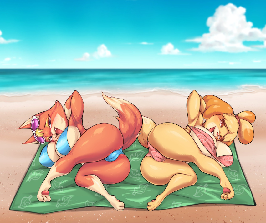 animal_crossing anthro audie_(animal_crossing) beach big_breasts big_butt bikini boingfarm breasts butt camel_toe canid canine canis clothing domestic_dog duo female hi_res isabelle_(animal_crossing) mammal nintendo on_towel seaside shih_tzu swimwear towel toy_dog wolf