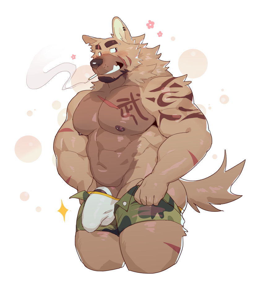 1boy abs absurdres animal_ears ass bad_id bad_weibo_id bara barbell_piercing blush brown_fur bulge camouflage camouflage_pants camouflage_shorts cigarette cock_ring cropped_legs dog_boy dog_ears dog_tail dressing eyebrow_cut facial_hair furry furry_male goatee grin happy_aura highres i've_never_seen_a_guy_recreate_this_successfully_tbh_(meme) jockstrap large_bulge large_pectorals lveink male_focus male_underwear mature_male meme muscular muscular_male navel nipples open_clothes open_fly open_shorts original pants pants_lift pectorals penis penis_peek piercing scar scar_on_arm scar_on_chest scar_on_leg sex_toy short_hair shorts smile smirk smoking solo sparkle stomach tail thick_thighs thighs topless_male undersized_clothes underwear white_male_underwear