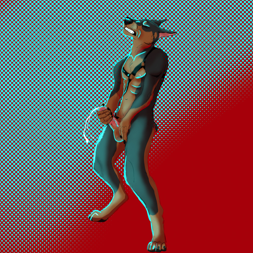 anthro athletic athletic_male balls bodily_fluids canid canine canis clenched_teeth cum cumshot dobermann docked_tail domestic_dog ejaculation fenderr genital_fluids genitals harness hi_res humanoid_genitalia humanoid_penis male mammal masturbation orgasm_face penis pinscher prick_ears short_tail simple_background solo tail teeth