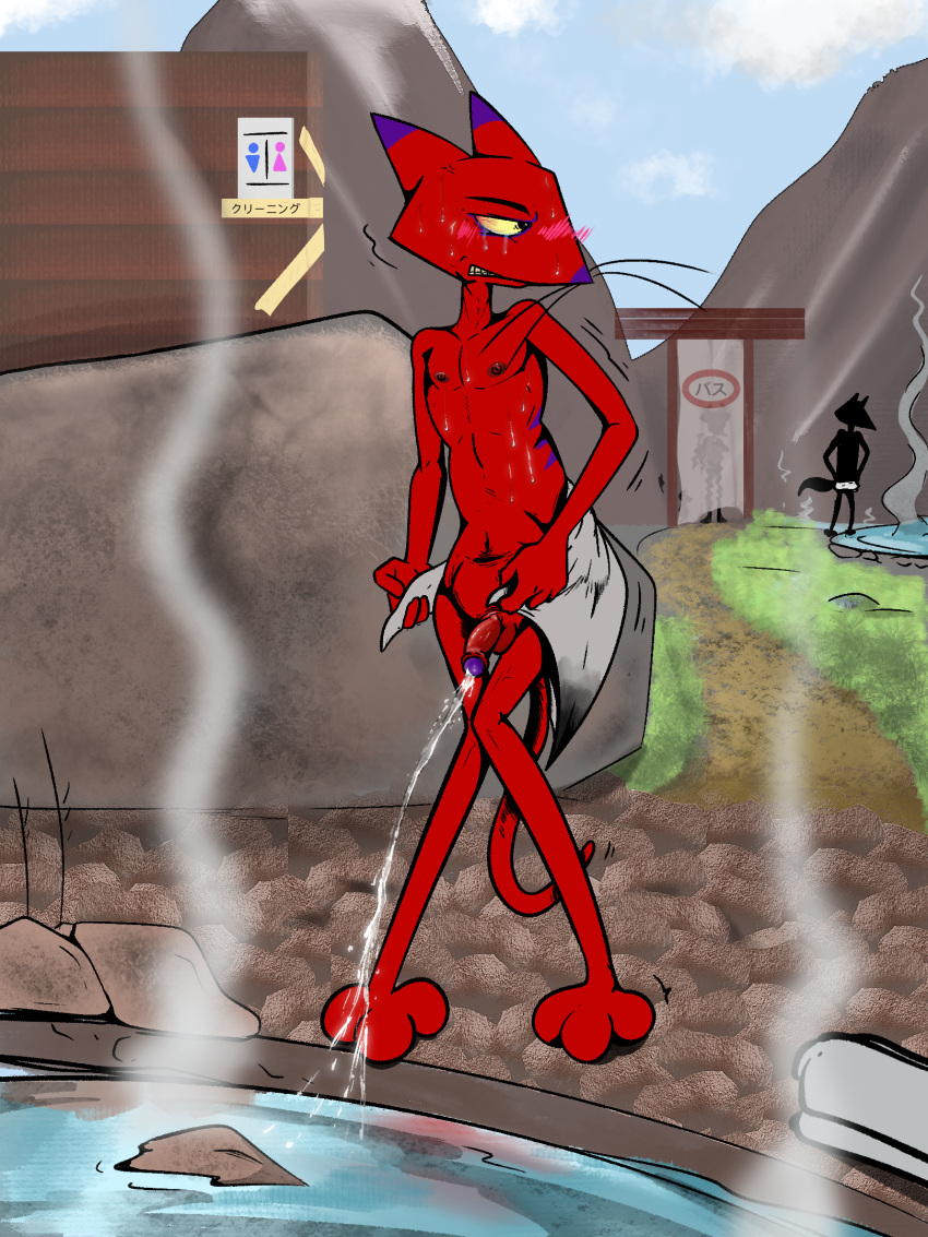 anthro blush bodily_fluids cartoon_network courage_the_cowardly_dog domestic_cat felid feline felis flaccid genitals group hi_res illegaleel katz_(courage_the_cowardly_dog) looking_back male mammal nervous nipples omorashi out_of_order outdoor_bath pee_desperation peeing peeing_into_water penis public_urination sauna shaking stealth_peeing sweat tears