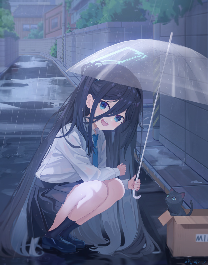 1girl :d absurdres animal aris_(blue_archive) black_skirt blue_archive blue_eyes blue_halo blue_necktie box cat commentary_request halo highres holding holding_umbrella long_hair long_sleeves looking_at_viewer necktie open_mouth outdoors rain road shirt skirt smile solo squatting street umbrella very_long_hair wet wet_clothes wet_shirt wet_skirt white_shirt xiongji_z_z