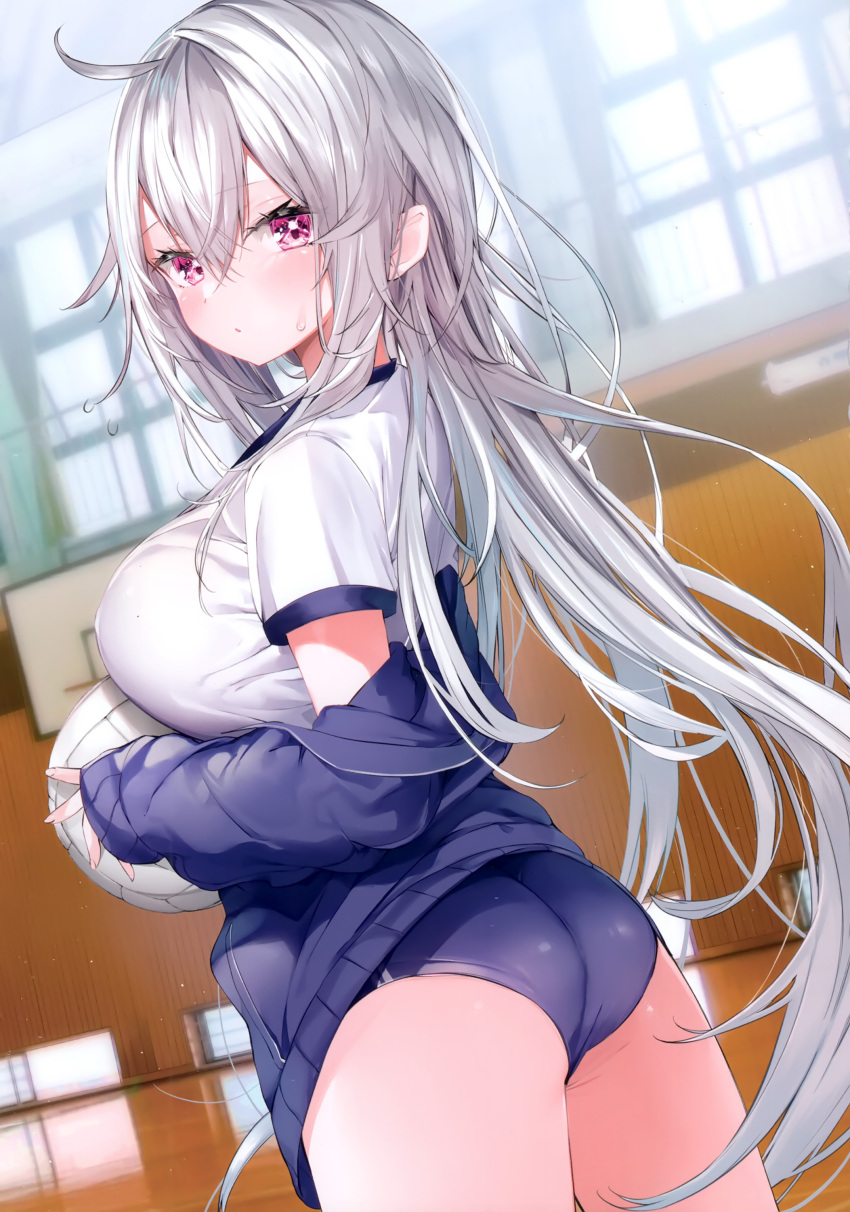 1girl absurdres ahoge ass ball basketball_hoop blue_buruma blue_jacket blurry blurry_background blush breasts buruma closed_mouth commentary_request depth_of_field grey_hair gym_uniform hair_between_eyes highres holding holding_ball indoors jacket kamioka_shun'ya large_breasts long_sleeves looking_at_viewer looking_back non-web_source off_shoulder open_clothes open_jacket original pointy_ears puffy_long_sleeves puffy_sleeves purple_eyes shiori_(kamioka_shun'ya) shirt short_sleeves sleeves_past_wrists solo sunlight sweat volleyball volleyball_(object) white_shirt window