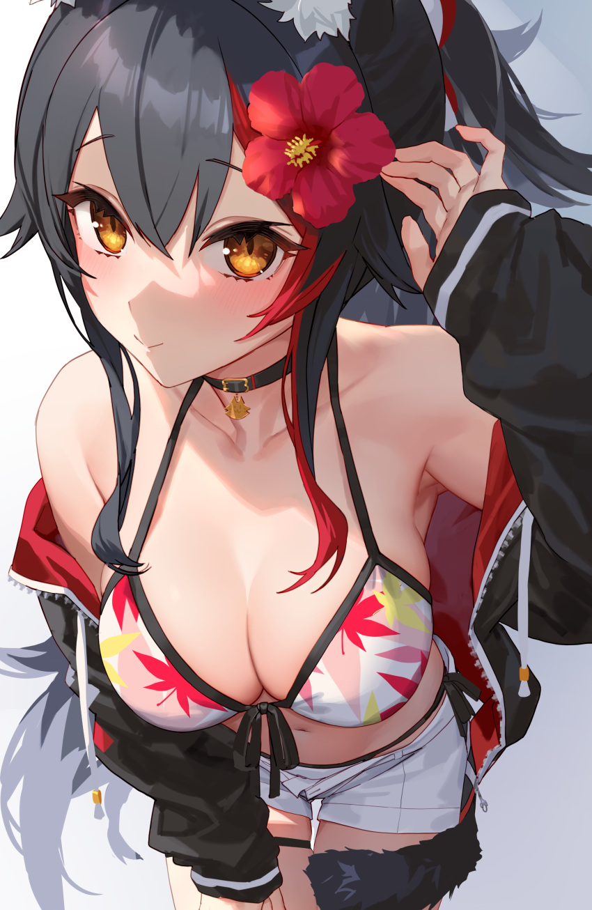 1girl absurdres animal_ears arm_up armpits bare_shoulders bikini bikini_under_clothes black_choker black_hair black_jacket blush bow breasts choker cleavage closed_mouth collarbone cowboy_shot flower front-tie_bikini_top front-tie_top hair_bow hair_flower hair_ornament halterneck hand_on_own_thigh hibiscus highres hololive izumi_sai jacket large_breasts leaf_print leaning_forward long_hair long_sleeves looking_at_viewer maple_leaf_print multicolored_hair navel no_shirt nose_shade off_shoulder ookami_mio ookami_mio_(hololive_summer_2019) open_clothes open_fly open_jacket orange_eyes ponytail revision short_shorts shorts side-tie_bikini_bottom sidelocks skindentation smile solo standing stomach streaked_hair string_bikini swimsuit tail thigh_gap thigh_strap thighs virtual_youtuber white_bikini white_shorts wolf_ears wolf_girl wolf_tail
