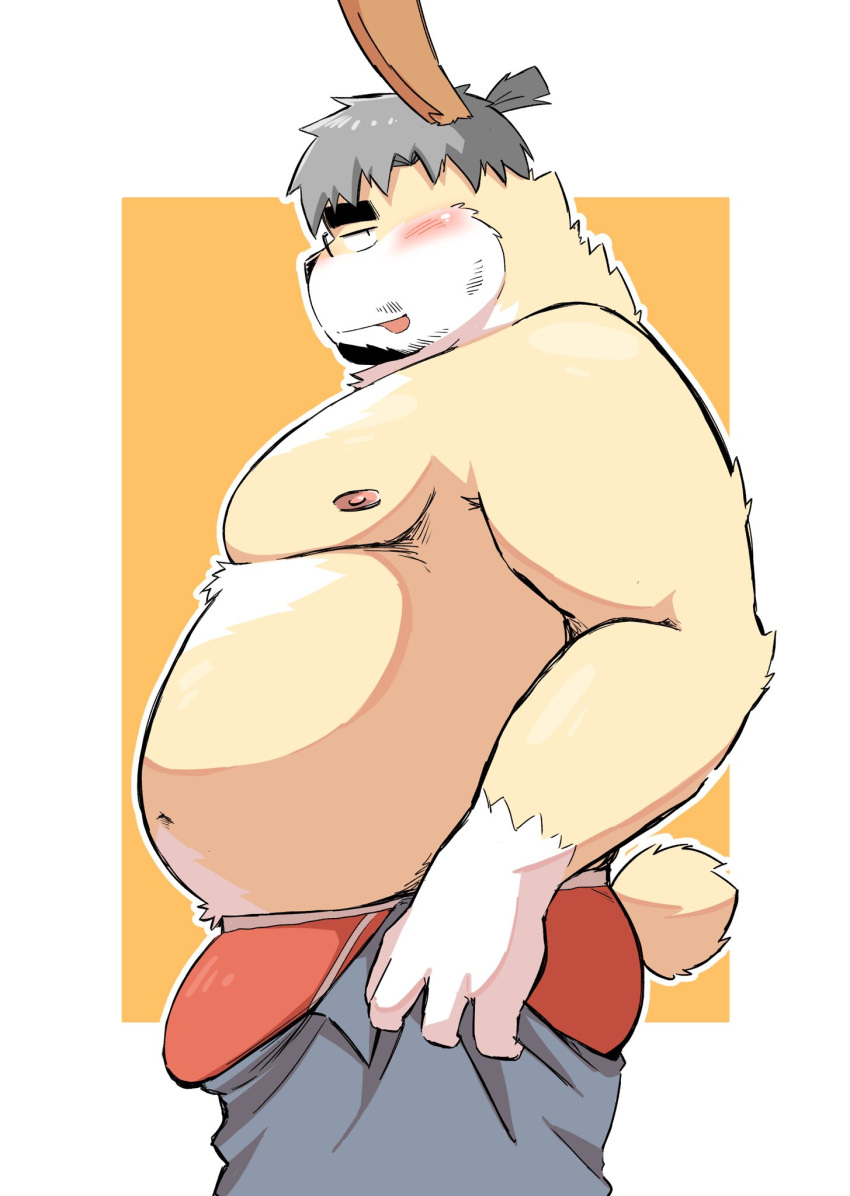 1boy :q animal_ears archer_(archery045) ass bara big_belly bulge bulge_lift dressing facial_hair fat fat_man feet_out_of_frame from_side furry furry_male goatee highres i've_never_seen_a_guy_recreate_this_successfully_tbh_(meme) male_focus male_underwear meme muscular muscular_male nipples open_pants original pants pants_lift pectorals rabbit_boy rabbit_ears red_male_underwear short_hair sideburns solo stomach thick_eyebrows tongue tongue_out topless_male undersized_clothes underwear yellow_fur